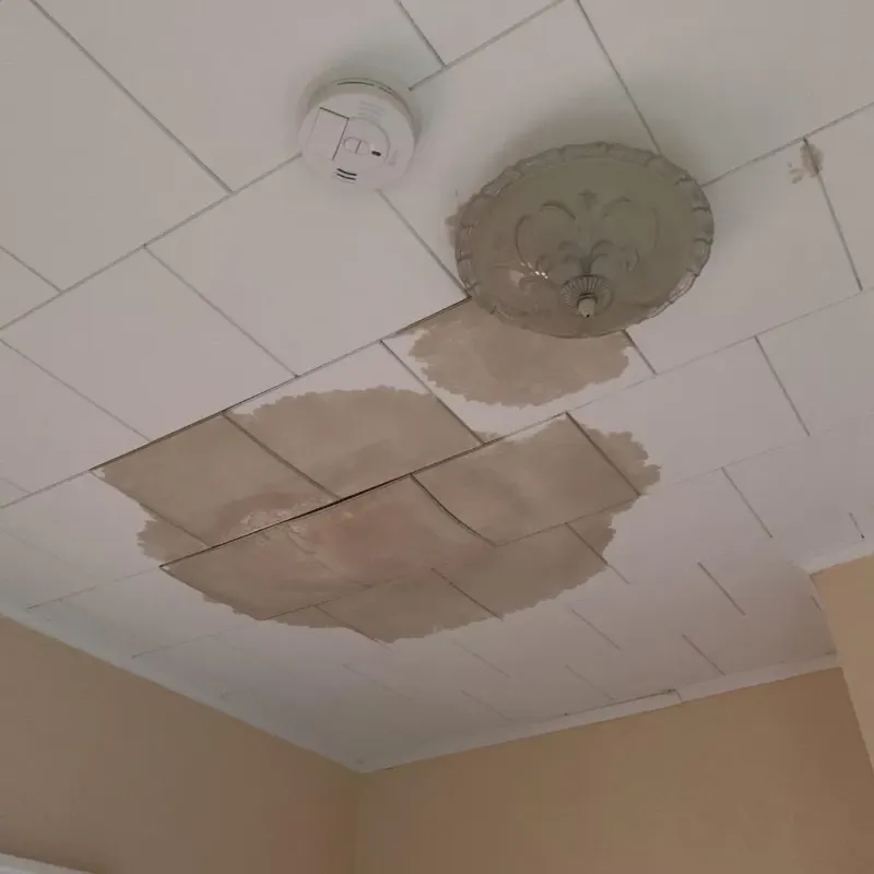 Ceiling Water Damage Repair in Iuka, MS