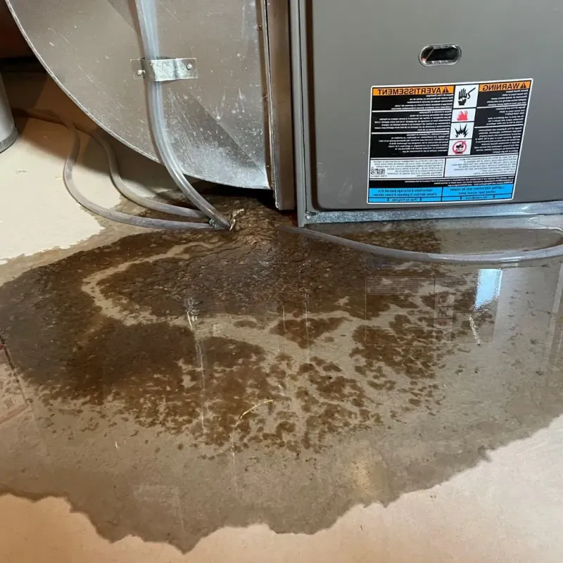 Pipe Burst and Leak Restoration in Iuka, MS