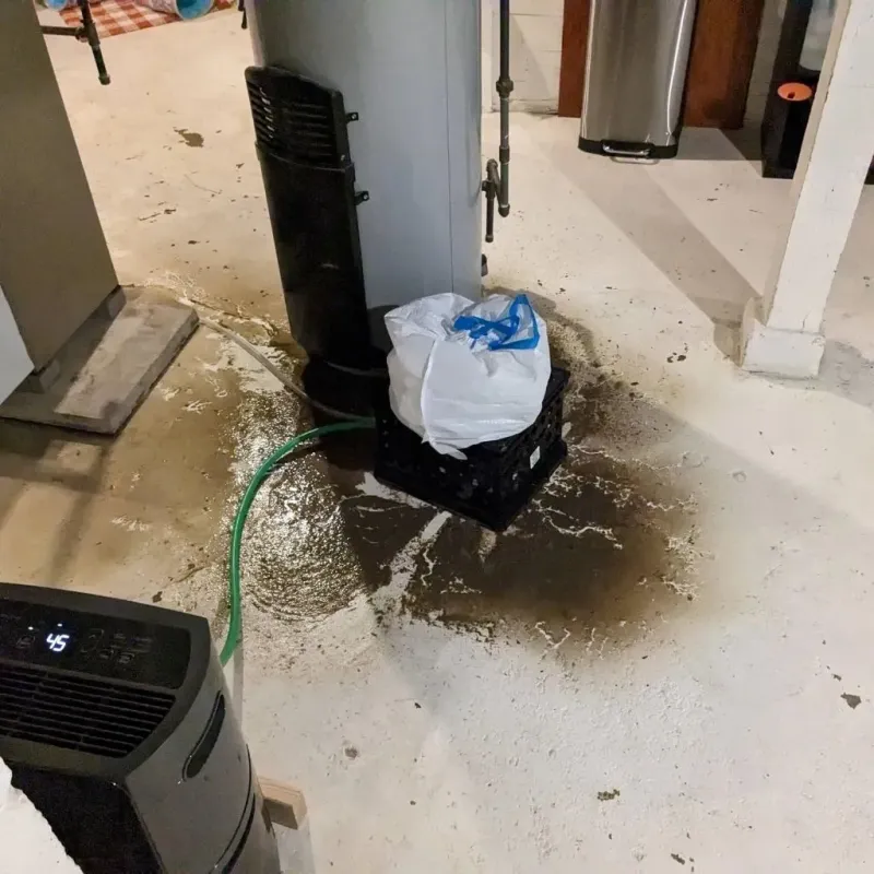 Sewage Backup Cleanup Service in Iuka, MS